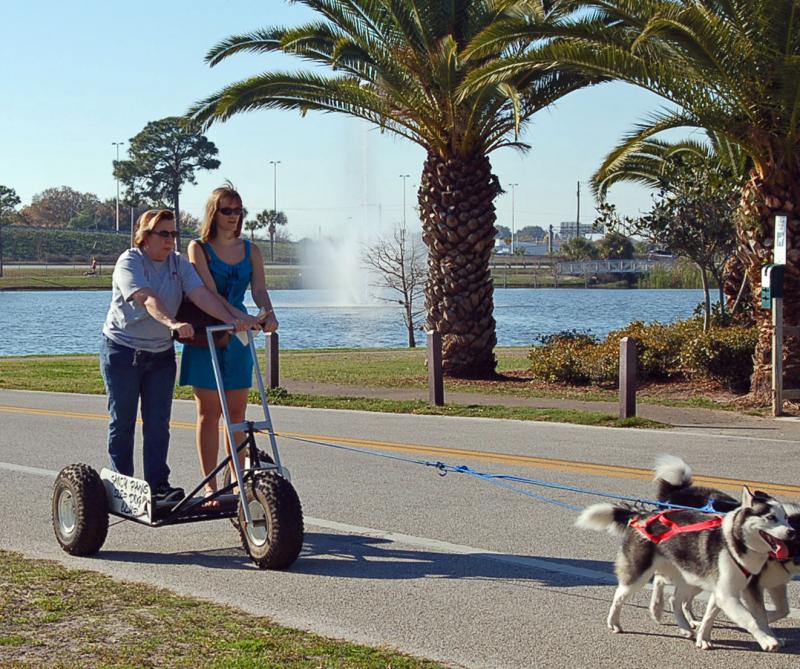 Mushing with the St Pete Times Reporter